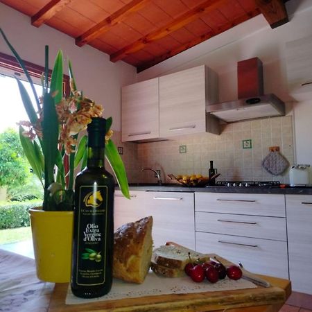 I Cavalleggeri Villa Castagneto Carducci Eksteriør bilde